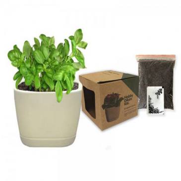 Hobby Planting Kit (Basil)
