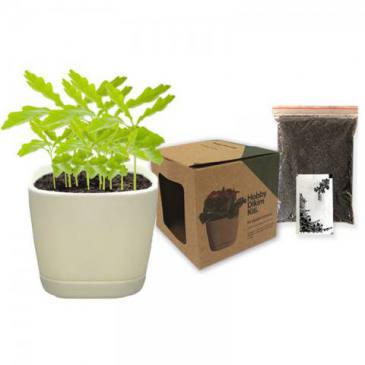 Hobby Planting Kit (Wild flower)