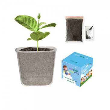Child Planting Kit
