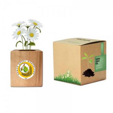 Daisy Planting Kit