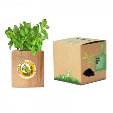 Basil Planting Kit