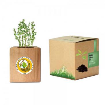 Thyme Planting Kit