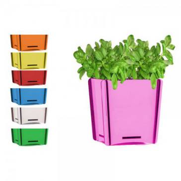 Square Planting Kit (Basil)