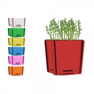 Angular Planting Kit (Thyme)