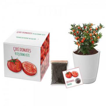 Growing Kit (Cherry Tomato)