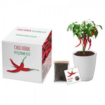 Growing Kit (Chili Pepper)
