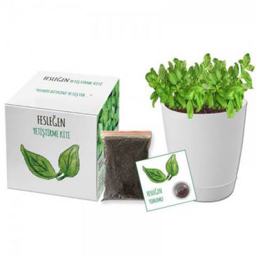 Growing Kit (Basil)