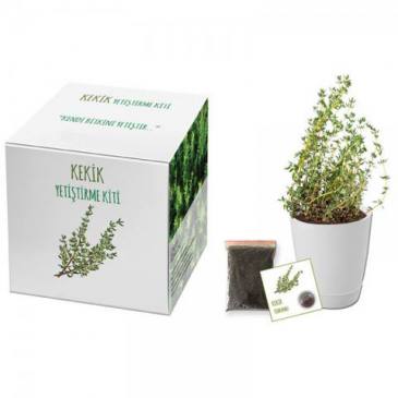 Growing Kit (Thyme)