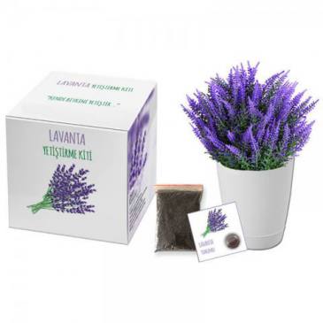 Grow Kit (Lavender)