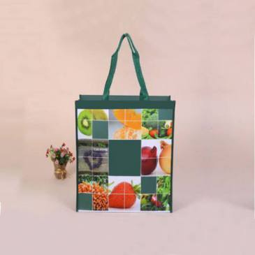 Interlining Cloth Bag (35X39x10 CM)